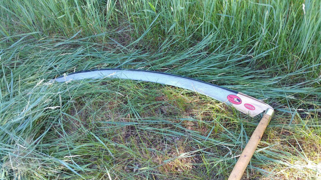 Scythe blade, European scythe