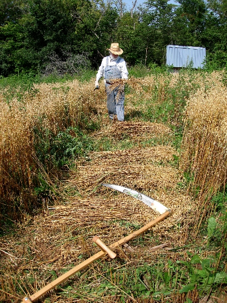 Falci Pizza Oven Tools - One Scythe Revolution