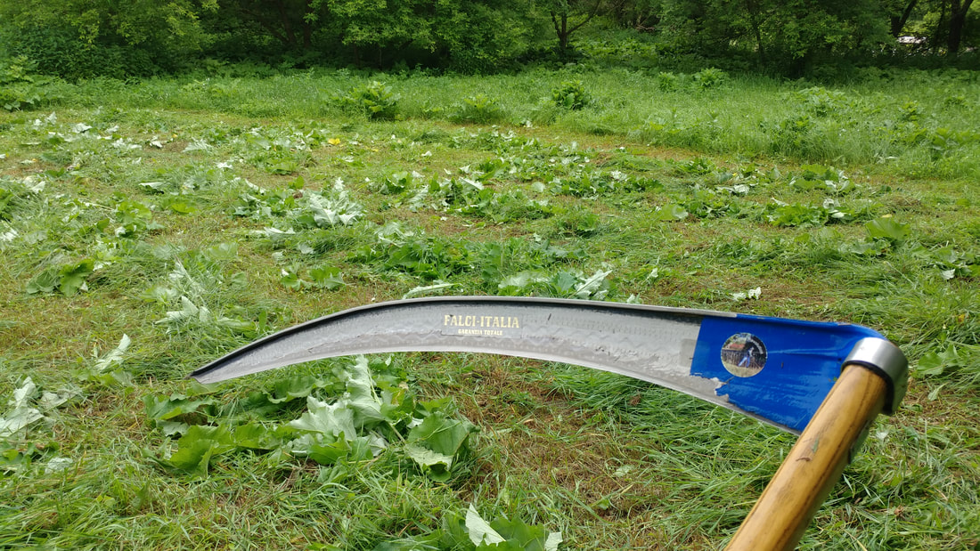 SAIGA-10 Blacksmith Scythe Grasses Cutting Blade 39,5 in 100 cm 